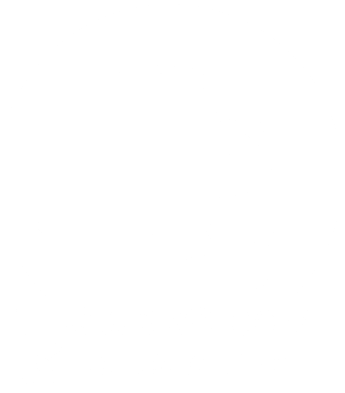 tucarromaracaibo.com